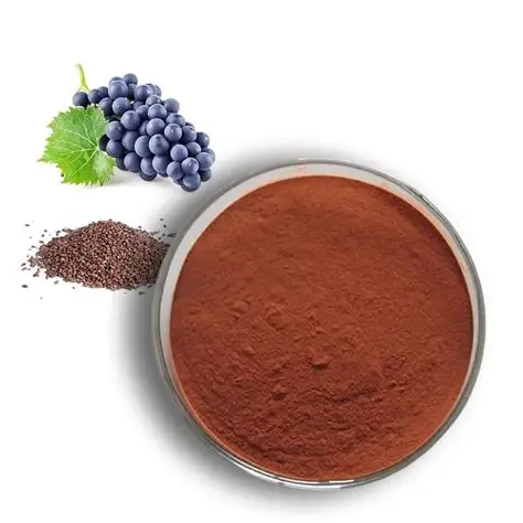 Grape Seed Extract